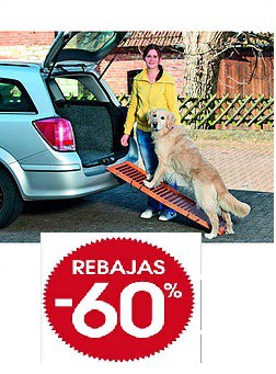 Rampa de madera de acceso para perros 120cm. DESCUENTO 60%